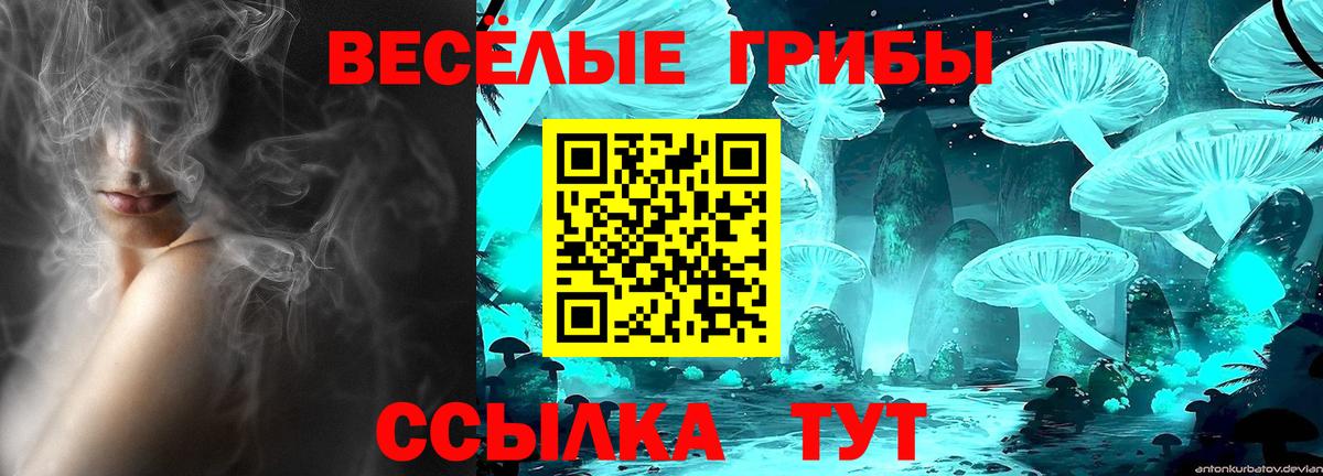 цены   Вход с VPN  Чебоксары  Псилоцибиновые грибы ЛСД  Псилоцибиновые грибы мицелий 